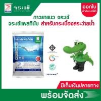 ราคา จระเข้ กาวยาแนว แพลทินัม สำหรับสระว่ายน้ำ สปา ซาวน่า 1 กก. สีขาวไข่มุก (47202740748)