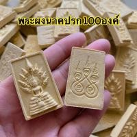 ราคา 1ถุง100องค์ พระผงนาคปรกพระนาคปรก เปรียบเสมือนมีพญานาคราชแผ่พังพานปกป้องคุ้มครองเจ้าชะพระปางนาคปรก (23858452717)