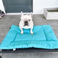 ราคา เบาะนอนสุนัข และแมว เบาะนุ่ม ผ้าดี สามารถใช้กับเตียงสนามได้ พร้อมส่ง (20286460302)