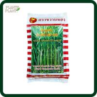 ราคา เมล็ดพันธุ์ผักบุ้ง 1 กิโลกรัม ผักบุ้งพันธุ์ใบไผ่สายรุ้ง ผักบุ้งตราขวาน ตราขวานทอง (3253571563)