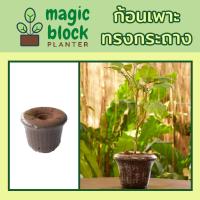 ราคา Magicblock กถ.-1 ก้อนเพาะปลูกมหัสจรรย์ทรงกระถาง ขนาด กว้าง 13.5 x สูง 11.5 ซม. (2902792389)