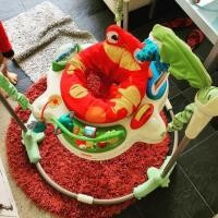 ราคา จั๊มเปอร์ Fisher-Price รุ่น Rainforest Jumperoo ของแท้ (5616220665)