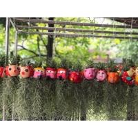 ราคา โมบายตุ๊กตาแขวนสับปะรดอากาศและหนวดฤาษี (3700531776)
