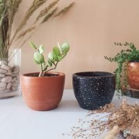 ราคา กระถางแคคตัสดินเผา เส้นผ่านศูนย์กลาง 10ซม. // กระถางดินเผา (8029259749)