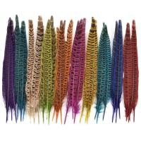 ราคา 10ชิ้น/ล็อตที่มีสีสันหญิงไก่ฟ้าหางขนนก25-30เซนติเมตร/10-12"ธรรมชาติไก่ฟ้าขนนกสําหรับงานฝีมือแต่งงานฮาโลวีนตกแต่งเทศกาลขนนกตกแต่ง (27225844907)