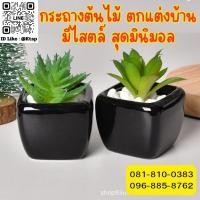 ราคา พร้อมส่งในไทย​ ต้นไม้ปลอม ต้นไม้​​กระถาง​ ประดับตกแต่ง มาพร้อมกระถางกระเบื้องเคลือบเงา ดอกไม้ (24343965653)