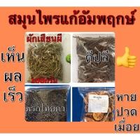 ราคา สมุนไพรผักเสี้ยนผี มะตูม ดีปลี พริกไทยดำ ขนาด200กรัม1ชุด (4075732309)