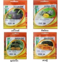 ราคา ฟักทองไข่ (pumpkin seeds) ฟักทองยาว ฟักทองอำไพ426 ฟักทองสีส้ม เมล็ดฟักทอง เมล็ดดฟักทองไข่ เมล็ดฟักทองดิบ เมล็ดฟักทอง426 (19450355371)