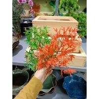 ราคา กิ่งปลอมและใบตกแต่งซูชิซาซิมิ/เดคคอร์ซาซิมิ (40114547847)