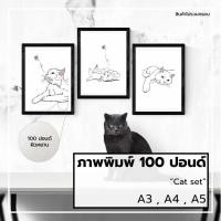ราคา ภาพแมว,รูปแมว,รูปตกแต่ง,ภาพพิมพ์,กระดาษ100ปอนด์,ขนาดA3,A4,A5,ภาพติดผนัง,รูปติดผนัง,ทาสแมว,แมว,Cat set 2 (6543667636)