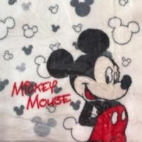 ราคา ผ้าห่มนาโน 6ฟุต อย่างหนา (755060289)