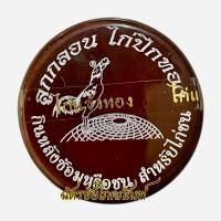 ราคา ลูกกลอน ไก่ปีกทอง ไก่แข้งทอง ฟาร์มไก่แข้งทอง หลังวาง หลังซ้อมหรือชน (42473936091)