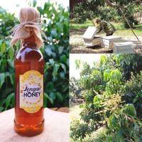 ราคา น้ำผึ้งดอกลำไย ขวดใหญ่ 1 ลิตร สุดคุ้ม น้ำผึ้งแท้ 100% น้ำผึ้ง น้ำผึ้งแท้ (5919422865)