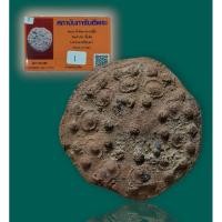 ราคา พระงบน้ำอ้อย หลวงปู่ยิ้ม วัดเจ้าเจ็ด จ.พระนครศรีอยุธยา เนื้อดิน ปี 2475 สวยเก่า (24916498787)