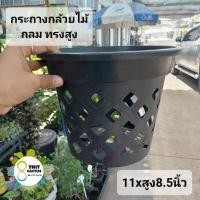 ราคา // กระถางกล้วยไม้ 11 นิ้ว (ทรงสูง) //กลม //สูง8.5นิ้ว // พลาสติก เกษตร ต้นไม้ สวน ดอกไม้ (25779972909)