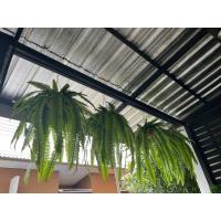 ราคา กระเช้าเฟิร์น เฟิร์นสไบนางปลอม กระเช้าเฟิร์นแขวนเสมือนจริง (18023098311)