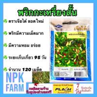 ราคา เจียไต๋ พริกกะเหรี่ยงสั้น พริกกะเหรี่ยง หมดอายุ 11/2569 จำนวน 120 เมล็ด/ซอง พริกมีความเผ็ดมาก หอม (24736181615)