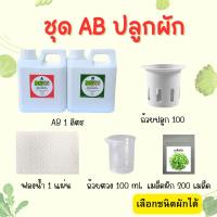 ราคา ชุด AB ปลูกผักสลัด ถ้วยปลูก ฟองน้ำปลูกผัก ถ้วยตวง เมล็ดผัก 200 เมล็ด เลือกชนิดผักได้ ชุดปลูกผัก สุดคุ้ม (26507980922)