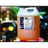 ราคา GMS Engine Klean Hi-Performance Flushing Oil (11017788696)