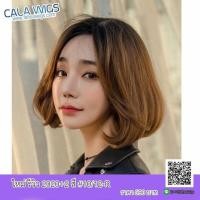 ราคา วิกผมสั้น ปะบ่า ผมสีน้ำตาล แสกกลาง (1767470603)