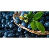 ราคา เมล็ดพันธุ์บลูเบอร์รี่ Blueberry เมล็ดพันธุ์แท้ นำเข้าจากต่างประเทศ (13233339837)