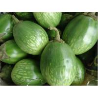 ราคา Thai Eggplant Seeds มะเขือเปราะ หยาดทิพย์ 200เมล็ด ศรแดง Thai eggplant seeds (55051416378)