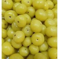 ราคา มะขามป้อมสด และมะขามป้อมดอง หวานน้อย รสเด็ด สด สะอาด รับประกันความอร่อย (42609107508)