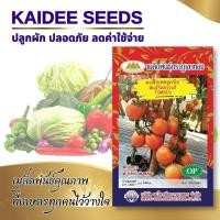 ราคา เมล็ดมะเขือเทศลูกท้อ พันธุ์ท้อสวรรค์ TOMATO เมล็ดพันธุ์มะเขือเทศ เมล็ดมะเขือเทศ มะเขือเทศลูกท้อ ตราภูเขาทอง (3458986212)