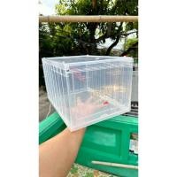 ราคา กล่องใส่รองเท้า "BOX" Sneaker Box แยก 1 กล่อง (22173109874)