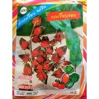 ราคา เมล็ดพันธุ์ กระเจี๊ยบแดง (10 แถม 1 คละได้) ตราสี่ทิศ บรรจุ 230 เมล็ด กระเจี๊ยบ ทำ น้ำกระเจี๊ยบ (4341670524)