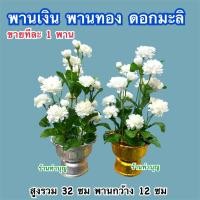 ราคา พานเงิน พานทอง มะลิ พานดอกมะลิ ดอกมะลิบูชา 1 พาน ดอกไม้ตกแต่ง ดอกมะลิ พร้อมส่ง (53400816082)