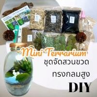ราคา ชุดจัดสวนขวด สวนขวด Terrarium ขวดแก้วทรงกลมสูง (21781158027)
