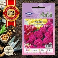 ราคา เมล็ดพันธุ์ ดอกหงอนไก่ (7855043752)