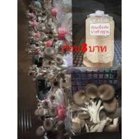 ราคา ก้อนเชื้อเห็ดนางฟ้าภูฐาน8บาท (4931762595)