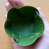 ราคา กระทงใบตองสดเย็บไม้กลัด 5 กลัด (21473247596)