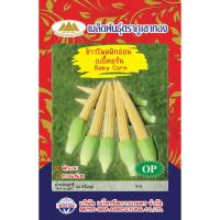 ราคา ข้าวโพด ฝักอ่อน baby corn (4103820441)