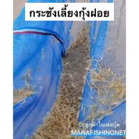 ราคา กระชังเลี้ยงกุ้งฝอย กุ้งเครฟิช ขนาด 1.8x2.5 เมตร สูง 1 เมตร (6552181164)