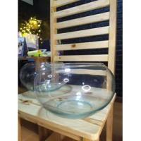 ราคา โหลแก้ว โหลทรงกลม โหลลูกจันทร์ ขนาด 12 นิ้ว เหมาะสำหรับใส่ของหวาน เลี้ยงปลาสวยงาม ใส่ขนมหวาน ปลูกต้นไม้ (8318656910)