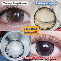 ราคา ส่งด่วนทุกวัน‼️คอนแทคเลนส์ Tommy Gray / Brown - Pitchy Lens ลายเกล็ดหิมะ เกล็ดน้ำแข็งขนาดบิ๊กอาย (9152947825)