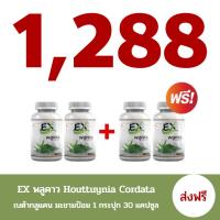 ราคา 2 แถม 2 EX พลูคาว พลูคาวสกัด พลูคาวแคปซูล พลูคาวสกัดเข้มข้น เสริมภูมิคุ้มกัน 1 กระปุก 30 แคปซูล (25773537870)