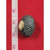 ราคา เบี้ยแก้หลวงปู่บุญวัดกลางบางแก้วคลุกรักข้างในมีปรอทวิ่งเป็นของแท้รับประกัน แก้คุณไสยปัดเป่าสิ่งชั่วร้าย (43920646934)