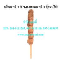ราคา (5อัน) หลักมะพร้าว ยาว 75ซม. หลักไม้เลื้อยกาบมะพร้าว เสาไม้เลื้อย เสาต้นไม้ หลักมะพร้าว หลักกาบมะพร้าว หลักไม้เลื้อยมะพร (14645627353)