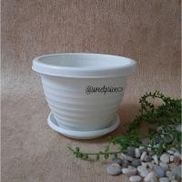 ราคา Putih Pot P - Bee 175 + ที่รองแก้วสีขาว / หม้อผึ้ง / กระถางดอกไม้ / กระถางพลาสติก (8326396712)