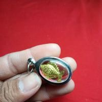 ราคา ปลาตะเพียนทองหลวงพ่อจงวัดหน้าต่างนอก (25240183312)