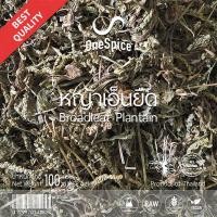 ราคา OneSpice หญ้าเอ็นยืด 100 กรัม (1 ขีด) | สมุนไพร ผักกาดน้ำ ตากแห้ง | Dried Common Plantain / Broadleaf Plantain YNY (27301370500)