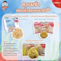 ราคา Camera ฟองน้ำ ฟองน้ำอาบน้ำเด็ก ฟองน้ำธรรมชาติ (4110467143)