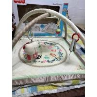ราคา Fisher-Price Hello Kitty Baby Musical Gym หรือเพลย์ยิมสำหรับเด็กอ่อน (29502458072)