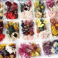 ราคา ดอกไม้ที่เก็บรักษาไว้เหตุการณ์แพคเกจกล่องของขวัญสดที่ทําด้วยมือแก้วปกดอกไม้แห้งทานาบาตะกุหลาบวัสดุกรอบรูปทําเองกลุ่มพัดลม เคบีเอ็มซ (26940282250)