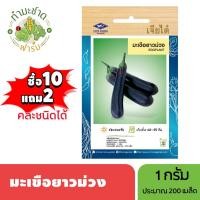ราคา เจียไต๋ (ซื้อ10แถม2) เมล็ดพันธุ์ มะเขือยาวม่วง ขนาด1กรัม ประมาณ270เมล็ด Eggplant มะเขือม่วง เมล็ดพันธุ์พืช เมล็ดผัก ปลูก (7518010973)