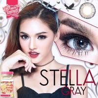 ราคา คอนแทคเลนส์ Stella gray (866745555)